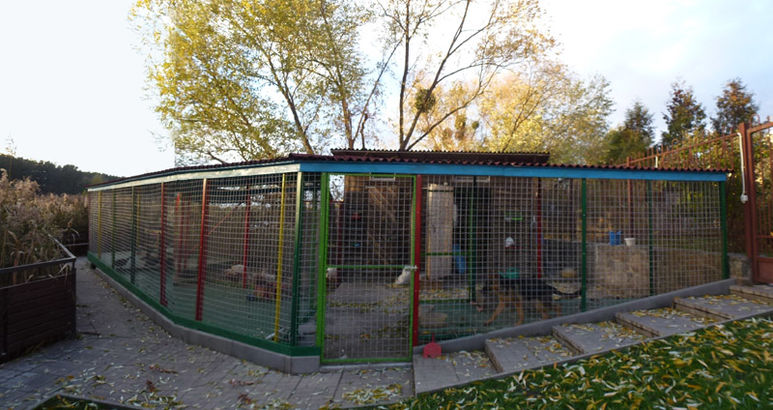 Kleiner Zoo