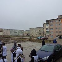 Bocsa001