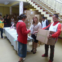 Paketverteilung-24