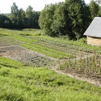Gagarina-farm-002