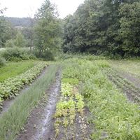 Gagarina-farm-003