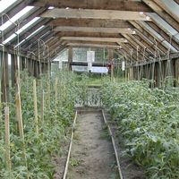 Gagarina-farm-004