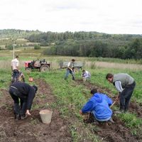 Gagarina-farm-011